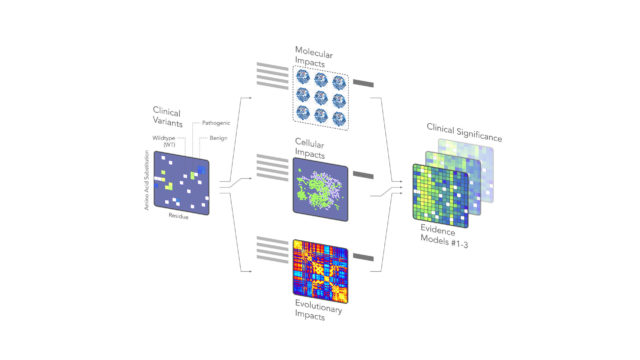 Schema che illustra il funzionamento della Molecular Evidence Platform (MEP) di Jungla